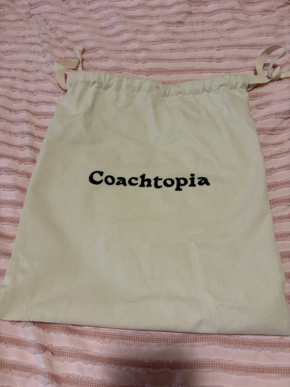 Coachtopia Soft Heart Tote Bag in Light Beige - Picture 6 of 7